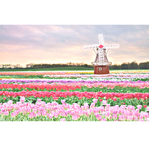 我要看逼视频免费的。
