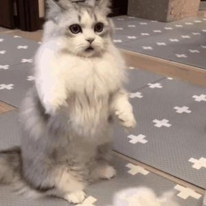 我要看逼视频免费的。
