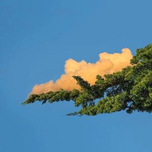 我要看逼视频免费的。
